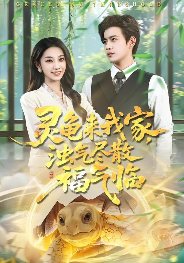 灵龟来我家,浊气尽散福气临