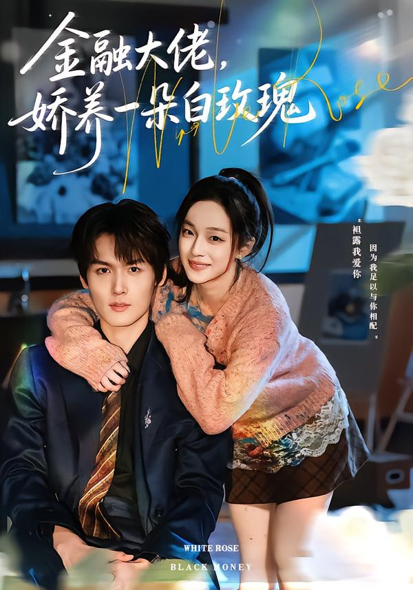 金融大佬,娇养一朵白玫瑰