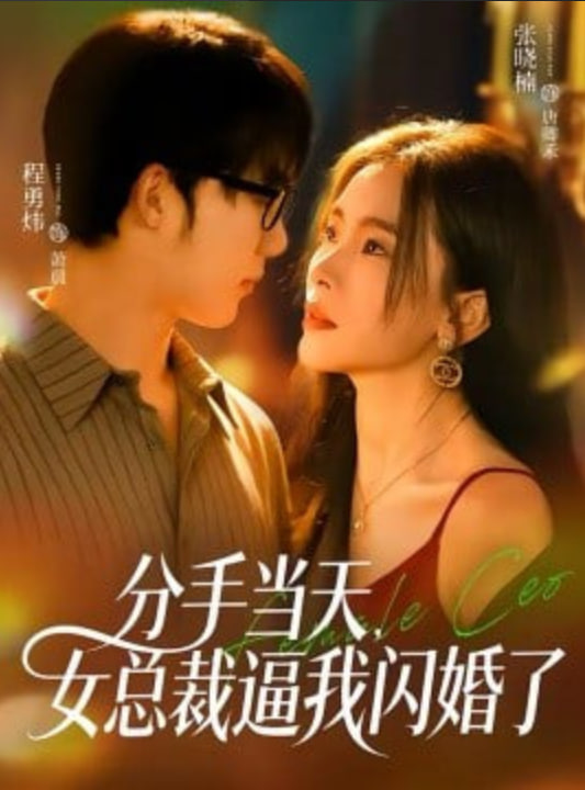 分手当天，女总裁逼我闪婚了
