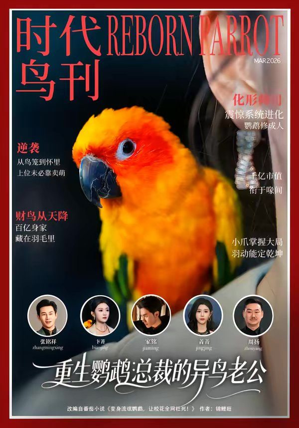 重生鹦鹉,总裁的异鸟老公