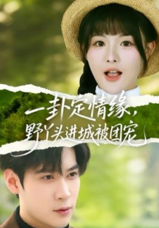 一卦定情缘,野丫头进城被团宠