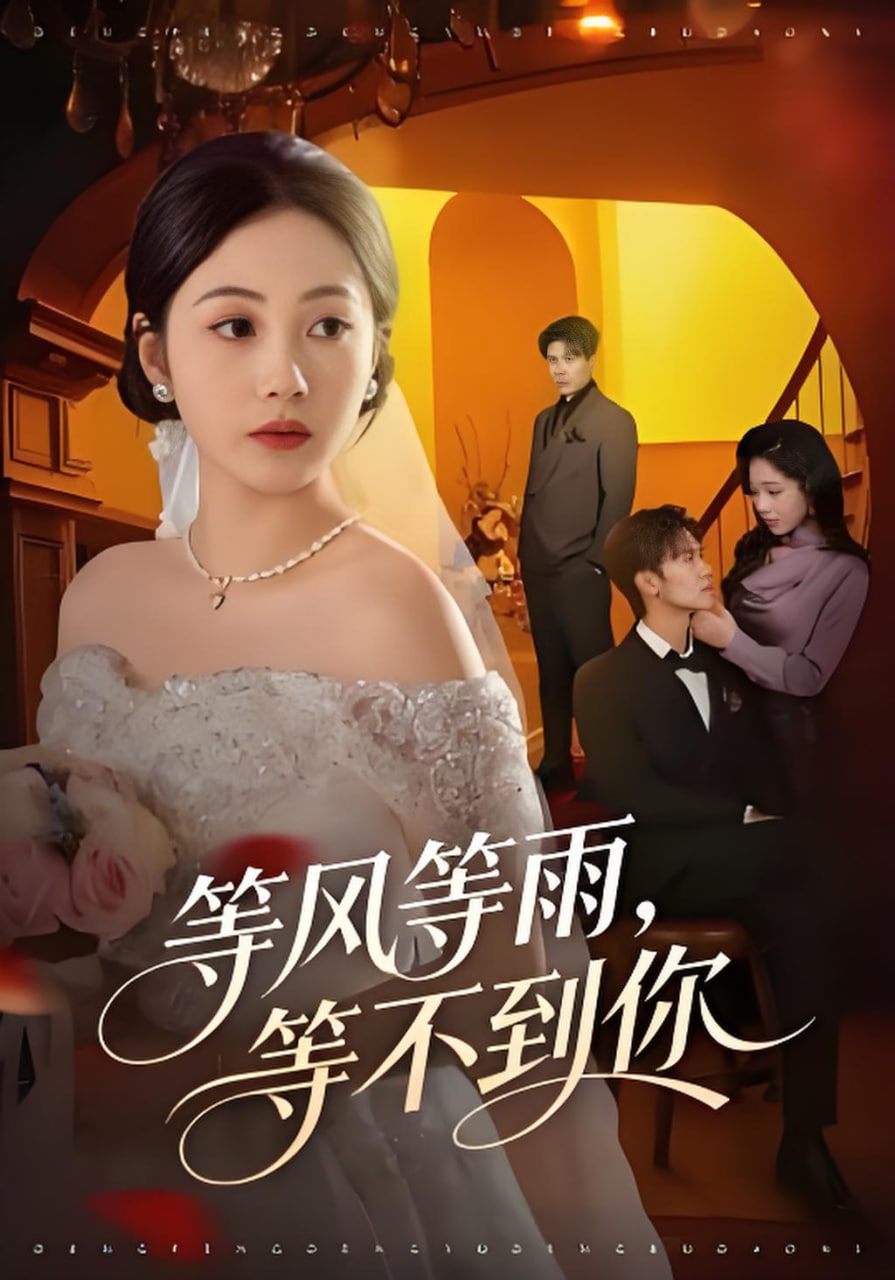 等风等雨,等不到你