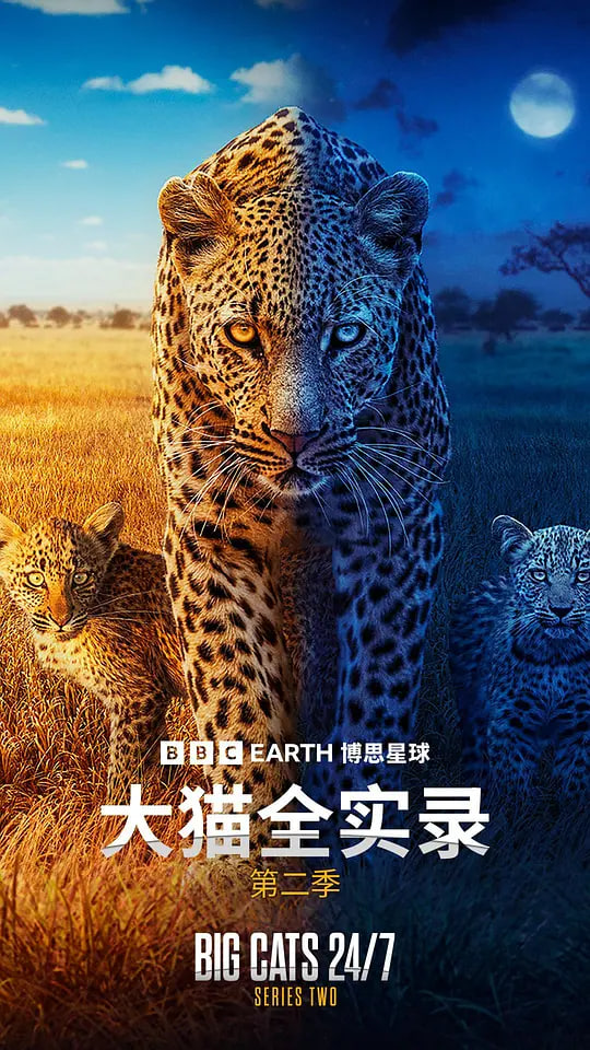 大猫全实录,第二季
