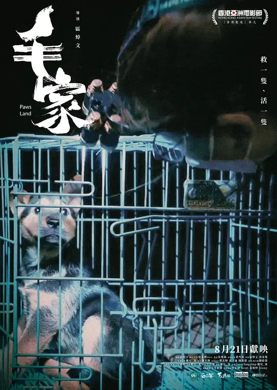 毛家,2024