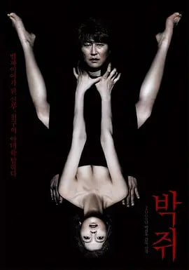 蝙蝠,2009