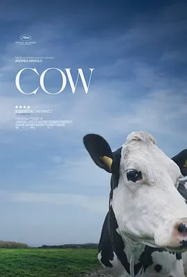 奶牛,2021