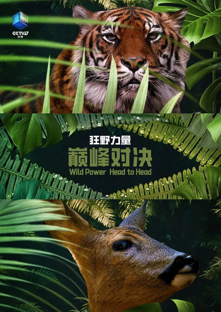 狂野的力量,巅峰对决,第一季