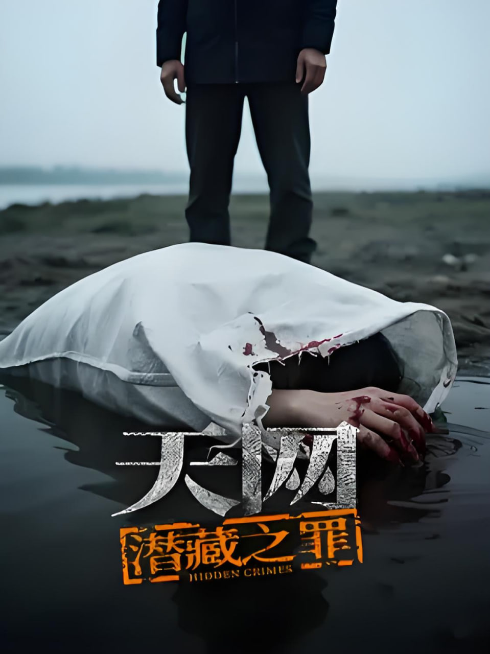 天网,潜藏之罪