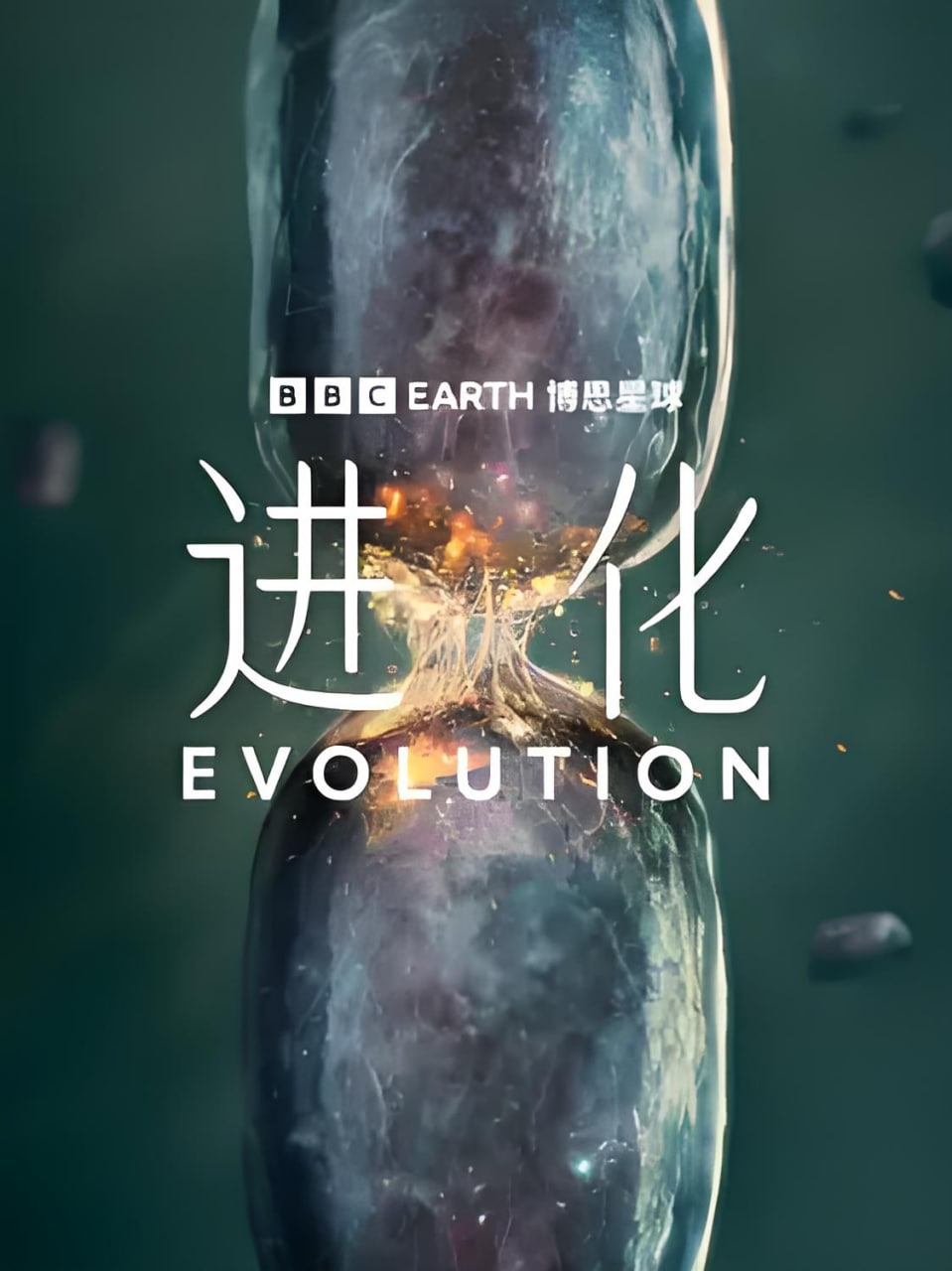 进化,中配版