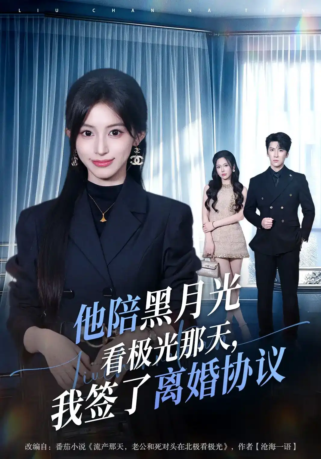 他陪黑月光看极光那天,我签了离婚协议